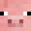 patchin1234
